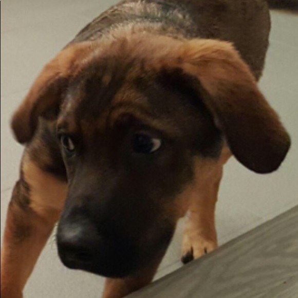 Meet your Posher, Diane - Picture 1 of 2